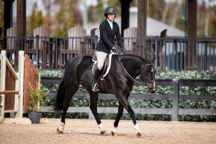 Locating Luxury Equestrian Property in North Carolina